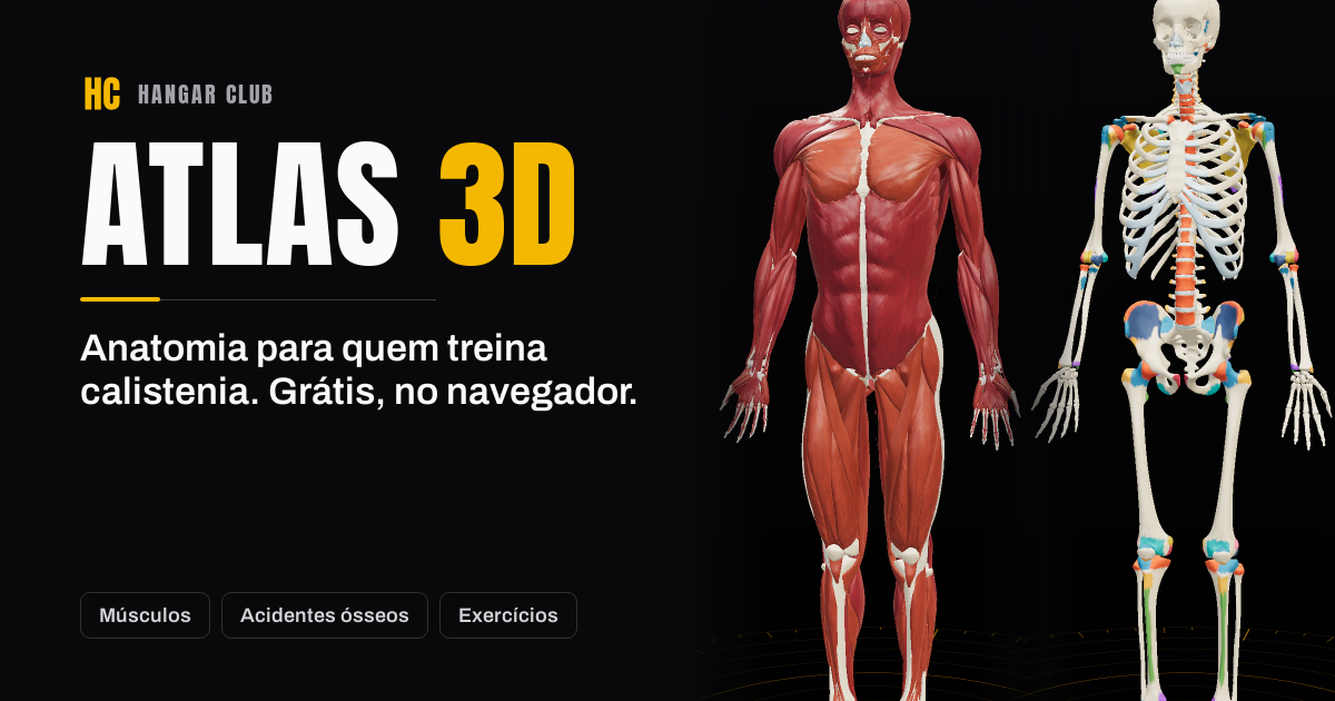 Atlas de anatomia 3D do Hangar Club